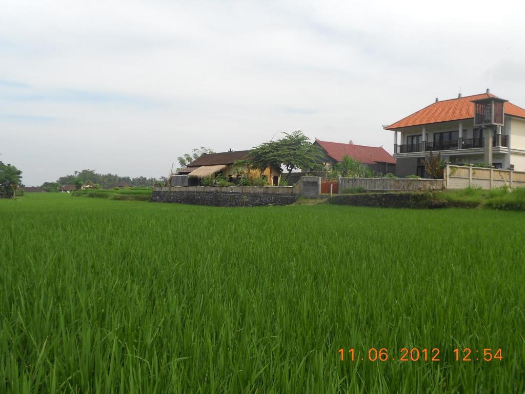 Villa Jasmine B&B Ubud Exterior foto