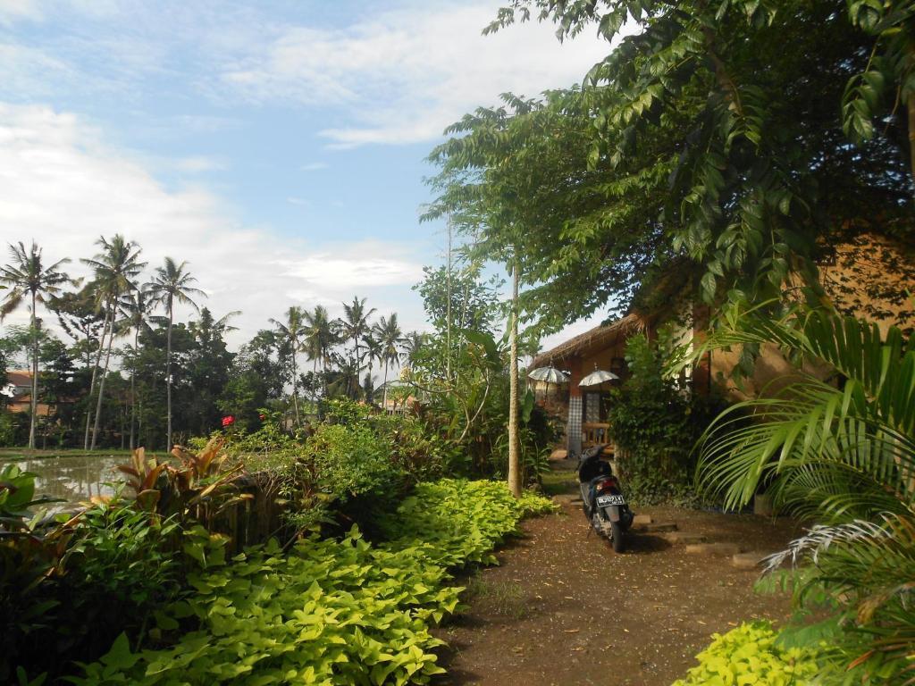 Villa Jasmine B&B Ubud Exterior foto